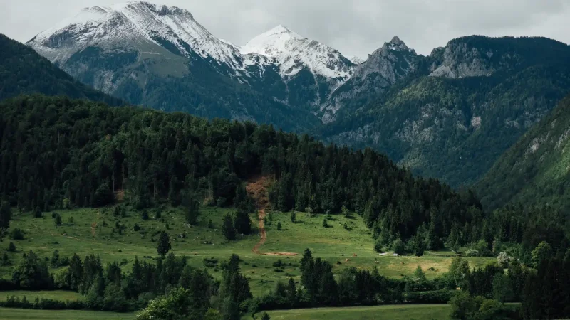 Çevre Danışmanlığının İşletmenize Kazandırdıkları